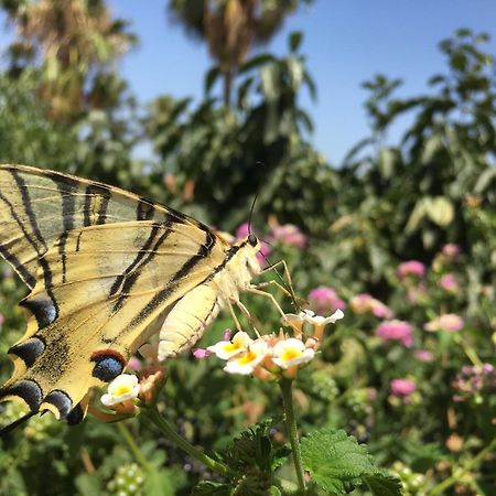 ألاورين ذي ر تورّي Vakantieverblijf Villa Kluever المظهر الخارجي الصورة