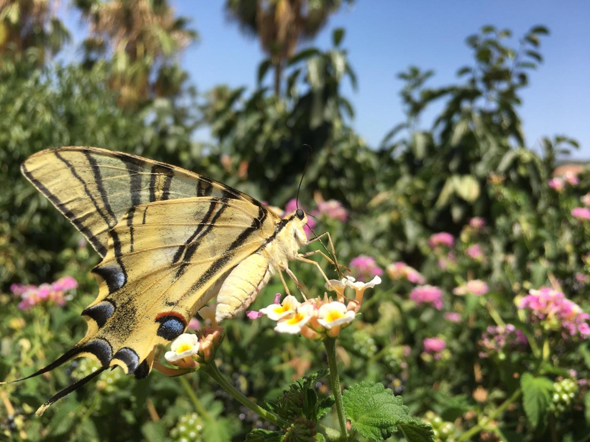 ألاورين ذي ر تورّي Vakantieverblijf Villa Kluever المظهر الخارجي الصورة